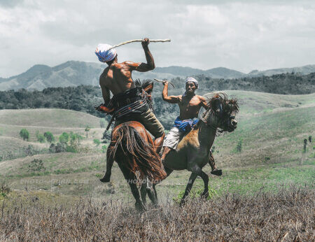 Two men jousting with wooden "pasola" spears