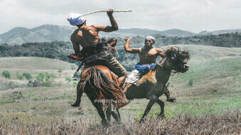 Knights on horseback and sea worms feature in Sumba Pasola festival
