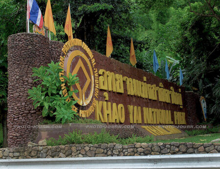 Khao Yai National Park is home to more than 800 fauna species and is one of five Thailand historic sites listed by Unesco