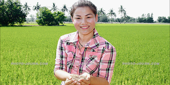 Thailand’s young rice farmers boost income, slash costs with switch to organic, AWD method
