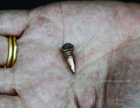 A bullet that narrowly missed John Le Fevre at Din Daeng on May 17, 2010 