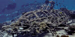 Gili island coral 3 700 | @photo_journ's newsblog by John Le Fevre