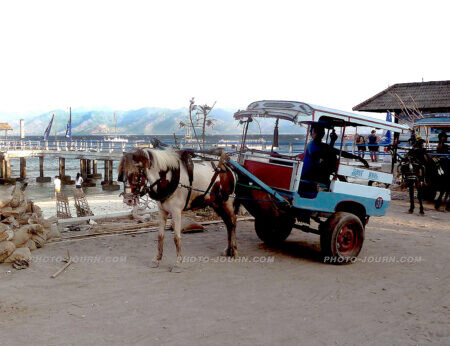 The famous horse-drawn carts known as cidomo, are readily available for rent all over the island