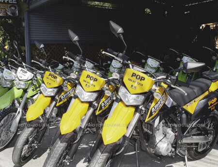 Rows of rental motorbikes wait for renters in Chiang Mai.