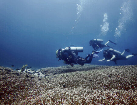 Scuba divers swim across a dead coral field close to the "three Gili's"