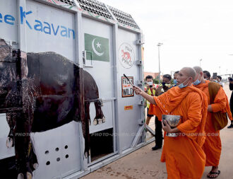 Buddhist blessing ceremony for Kaavan