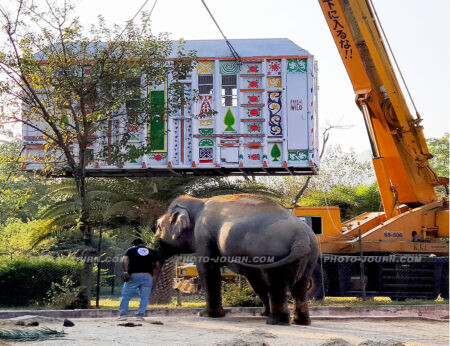 Kaavan and Four Paws Veterinarian Dr Amir Khalil watch his shipping crate to Cambodia arrive