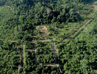 Kaavan's lush jungle enclosure